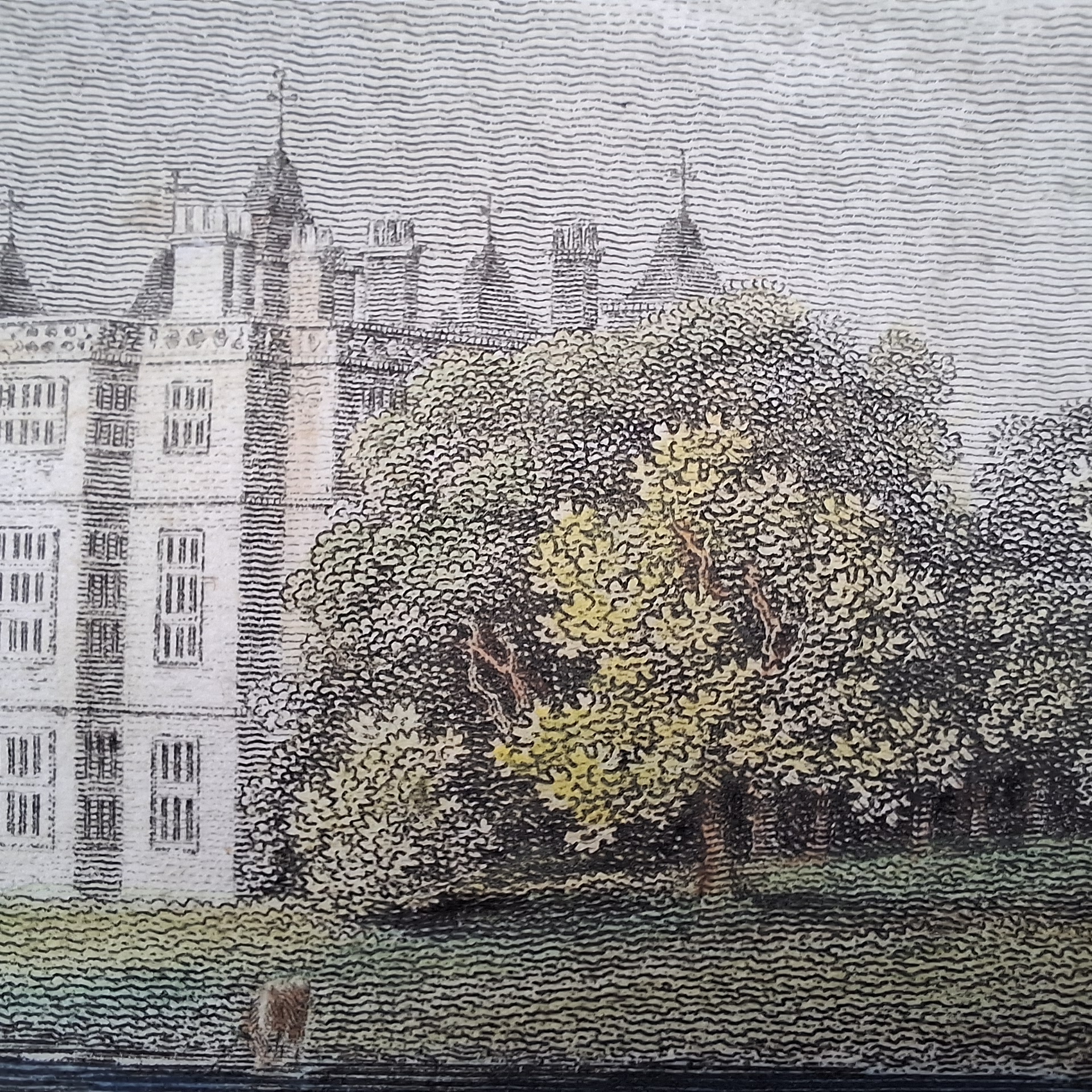 Audley End, Essex - Image 3
