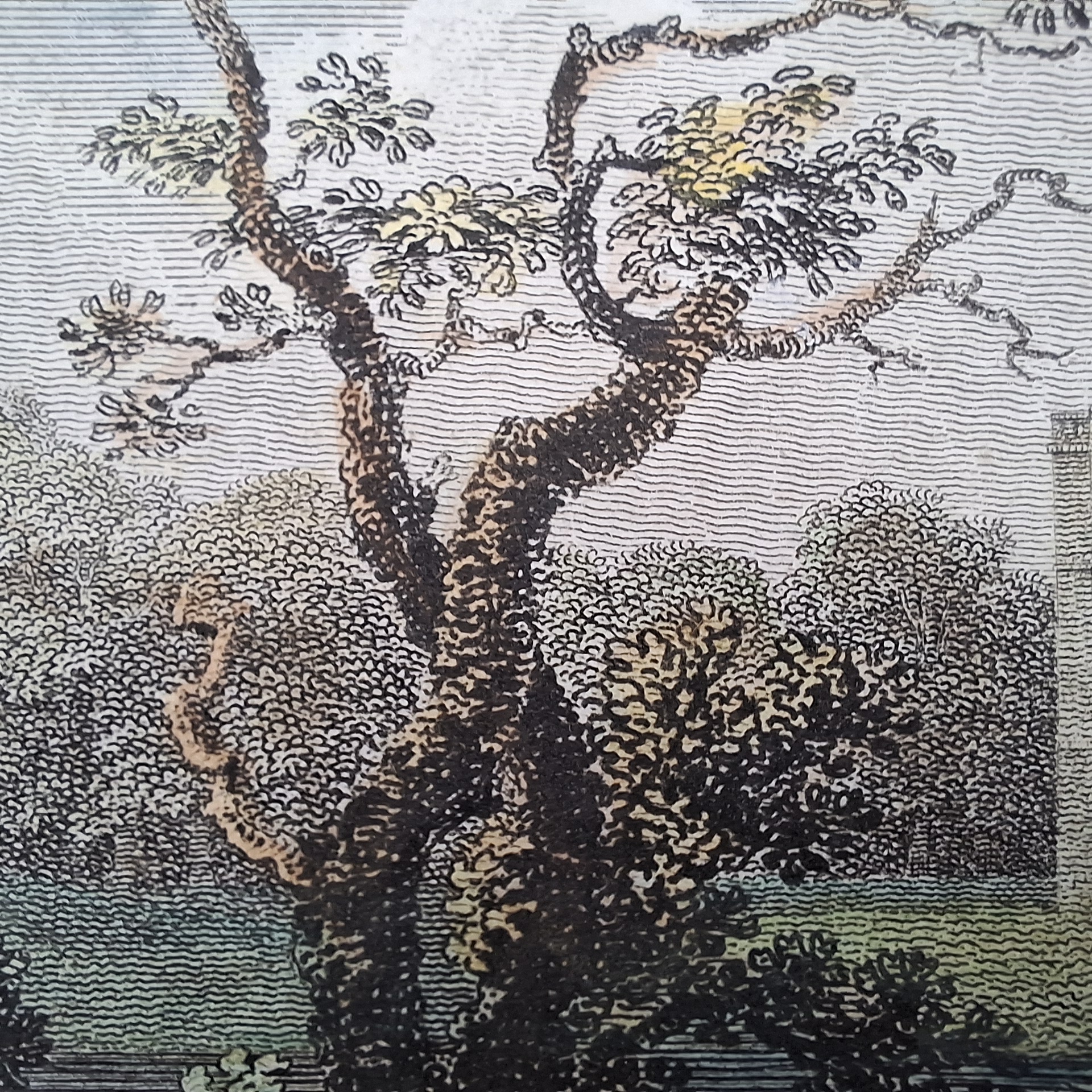 Audley End, Essex - Image 7